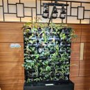 금산인삼랜드(통영) | 성남에서 진주까지(2): 금산인삼랜드 휴게소(하행, 통영 방향) | 음식, 화장실, 수변공원