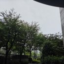 지적박물관 | 대회 후기 및 인사 - 2025 한국공공역사대회: 대한민국역사박물관·한국공공역사협회 공동포럼(2025. 07...