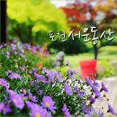 포천 광릉 서운동산 - 서울근교 여름 나들이장소 가볼만한곳