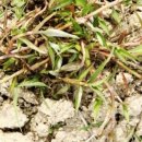 김재연농장 이미지