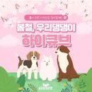 펫큐브 이미지