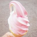 민트 이미지