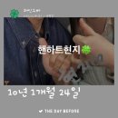 장갈애드 Daum카페