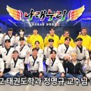 태권도 비전팀 이미지