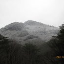 문경 씨름장 이미지