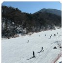 의상디자인 야간 | 무주스키장 렌탈샵 야간 스키 대여 체감후기