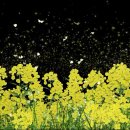 익산예술의 전당 미술관 이미지