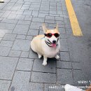 부산 감천마을,감천문화마을 나들이 루프탑 카페 프롬초이!