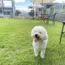 행복만줄개 이미지