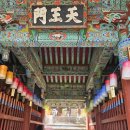 투썸플레이스양산통도사점 - 42696 | [부산] 금정산 범어사 오색 연등 축제