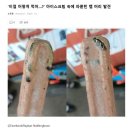 길거리아이스크림
