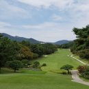 금잔디 골프 클럽 Daum카페