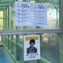 보리펜션 | [경기 양평] 편안하개펜션 내돈내산 후기 ②｜ 호실별 특징 비교, 수영장&사우나, 조식 총정리 🧚🏻‍♀️