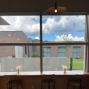 아이보리 타이거 이미지