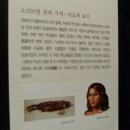 [전시] 국립중앙박물관 세계문명전 『실크로드와 둔황전』 - 혜초와 함께 하는 서역기행 ①