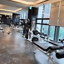 리빌딩트레이닝센터 | 드디어 찾았다, 내 몸 구원해 줄 피카츄 헬스장 등장?