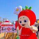 (주)건양팜 | 논산 딸기축제 후기 기본정보 주차 셔틀버스 체험 부스 등