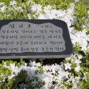 당진해양캠핑공원 이미지