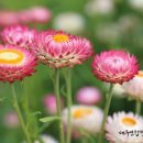 연합행정사사무소 이미지