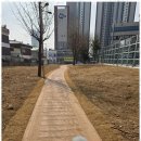 미소애견미용실 이미지