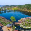 경산의 삽살개육종연구소 이미지