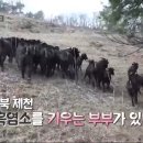 박철희농장 티스토리