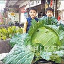 고향수퍼민박 이미지