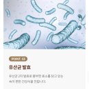 네이처밸런스