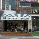 대전문정초교 | [대전/둔산] 대전신상빵집 ‘올리브팜베이커리’ 맛있어서 재방문한 후기 | 대전소금빵맛집, 대전빵지순례