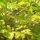 두름농장 이미지