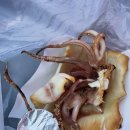 목화휴게소 이미지