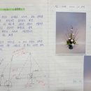 일상 속 생활 꽃꽂이 이미지