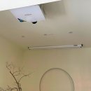 콜라니티다 이미지