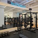 머슬앤핏 이미지