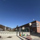 솔펫 애견미용놀이터 | 용인 대형 애견카페 강아지 놀이터 아로하스토리 주차, 입장료 등 후기