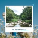 하늘땅별땅 캠핑장 | 가평 하늘땅별땅 캠핑장 우중캠핑 할뻔 했었지만...