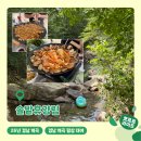 솔밭 | 부산 양산ㅣ26년 8월 따끈한 계곡 방문 후기 평상 대여 후기 <솔밭휴양림>