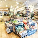 노티농장 이미지