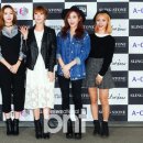 슬링스톤 이미지