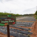 전남대학교 농업실습교육원 이미지