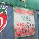 다산딸기수출 이미지