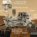 큐리오시티 이미지