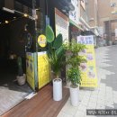광판팔뚝김밥 명동점 네이버블로그
