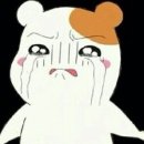 달콩민박 이미지