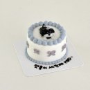 댕킷 | 부산 강아지 한입 케이크, 댕킷