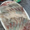 호매실동횟집 마파도 회 시장 가격 위치 영업시간