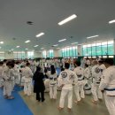 팀타이런트 유도 이미지