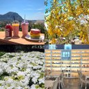 멍'블랑 | 제주도 가족여행 추천 제주 마노르블랑 수국 축제