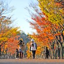 옥동5공원 이미지
