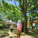 주록리계곡 루돌프 | 여주 이천 아이와 가기 딱 좋은 숨은 명소! 물놀이·힐링 모두 즐기는 주록리 계곡